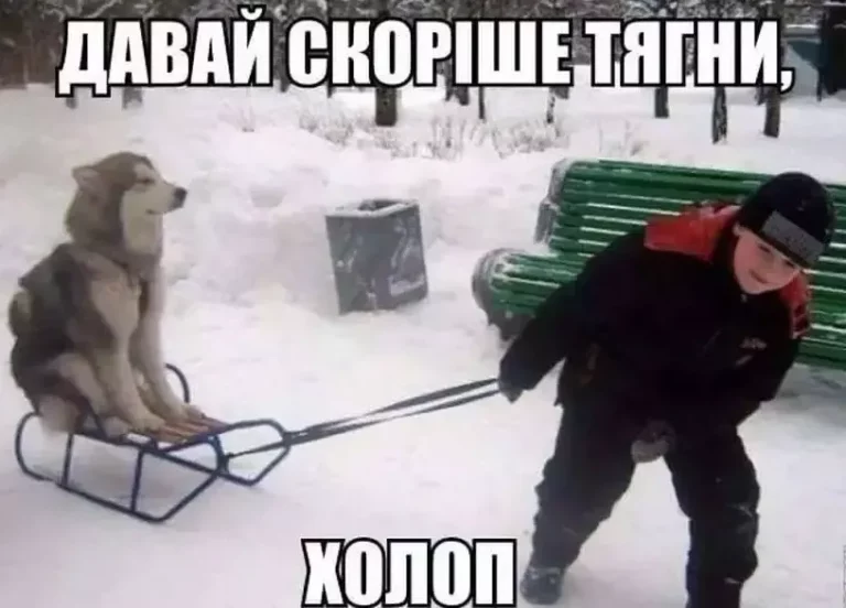 Одеський гумор: щоденні жарти та реальність без прикрас