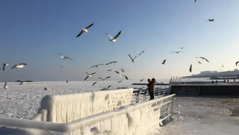 Зимова Небезпека в Одеській Області: Попередження та Прогноз на 23 Січня