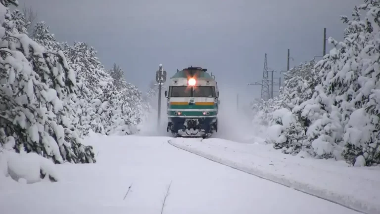 Транспортний кризис в Одещині: затримки поїздів через повалені дерева