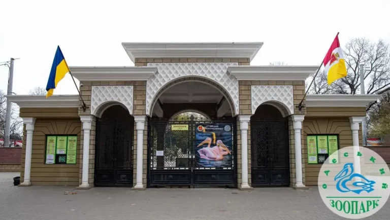 Одеський Зоопарк: Скандал, Перевірки та Захист Тварин