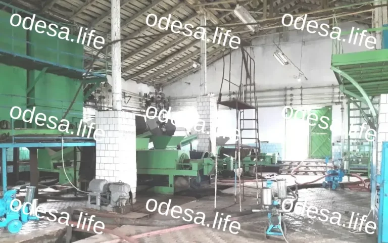 У Одесьній області продадуть виноробний завод
