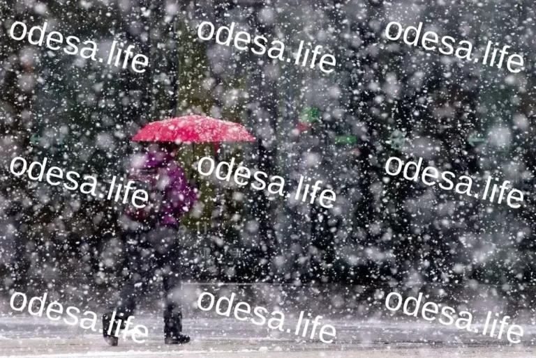 Погода в Одесі та області 24 лютого: прогноз