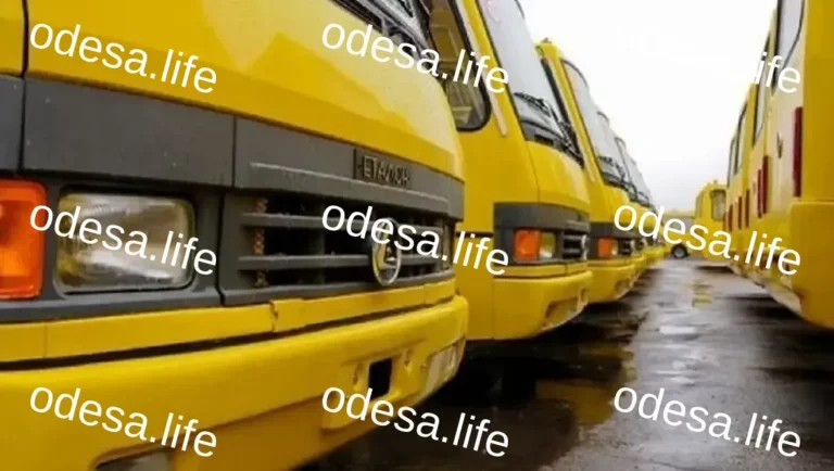Соціальний Транспорт в Одесі: Оновлений Розклад 24 Лютого