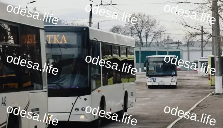 Соціальні Автобуси в Одесі: Розклад на 28 лютого