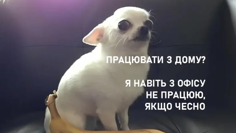 Одеський гумор: Смішні історії та настрій тепла
