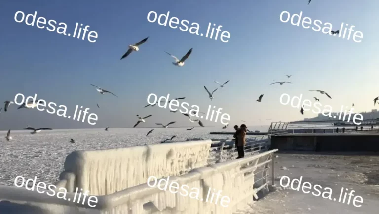 Погодні умови в Одесі та Одеській області 5 лютого: штормова погода та низькі температури