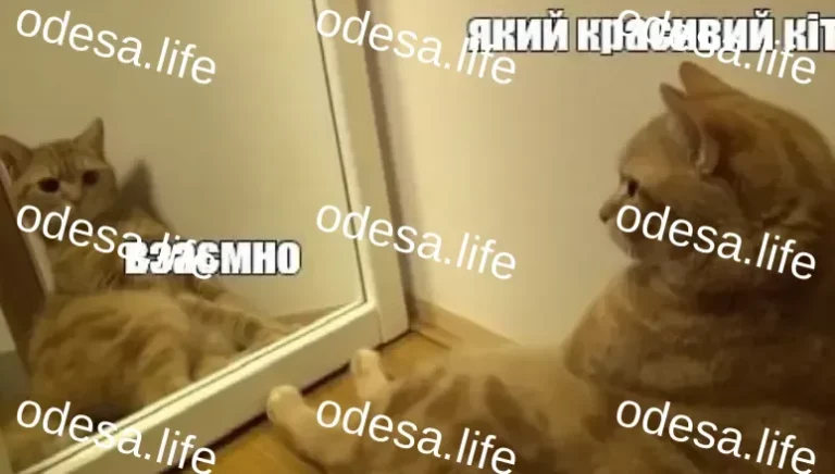 Одеський гумор: Як отримати настрій зранку