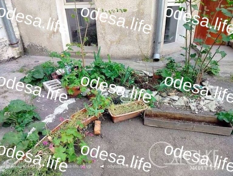 Прогноз погоди в Одесі на 1 квітня: без небезпечних явищ