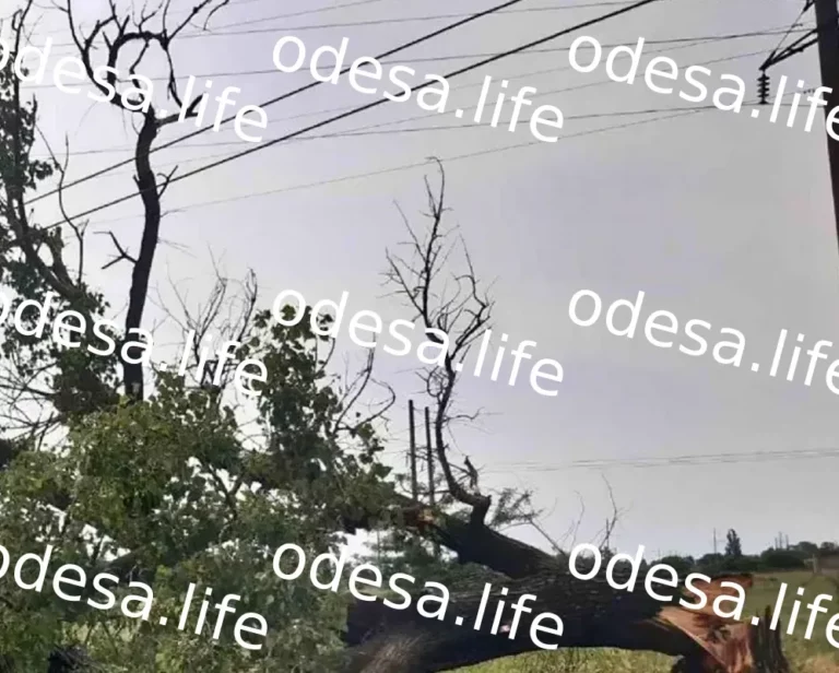 Негода знеструмлює Одесу та населені пункти області