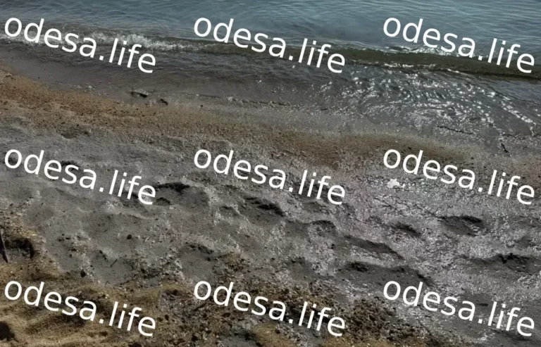 Забруднення на узбережжі Чорного моря та порятунок птаха