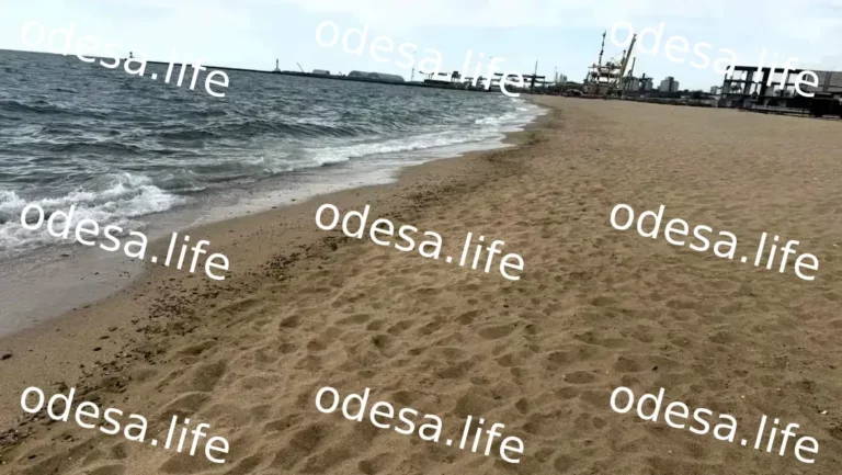 Забруднення Чорного моря: результати перевірок біля Одеси