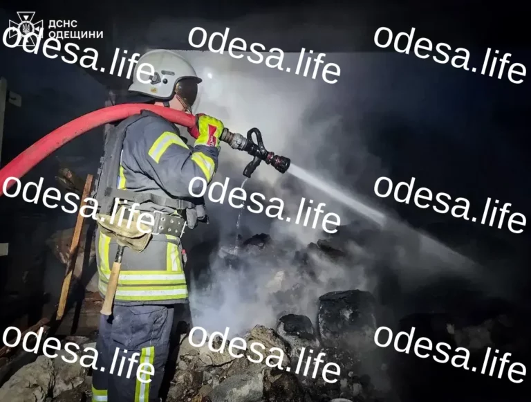 Нічна атака дронів на Одещину: наслідки для портової інфраструктури