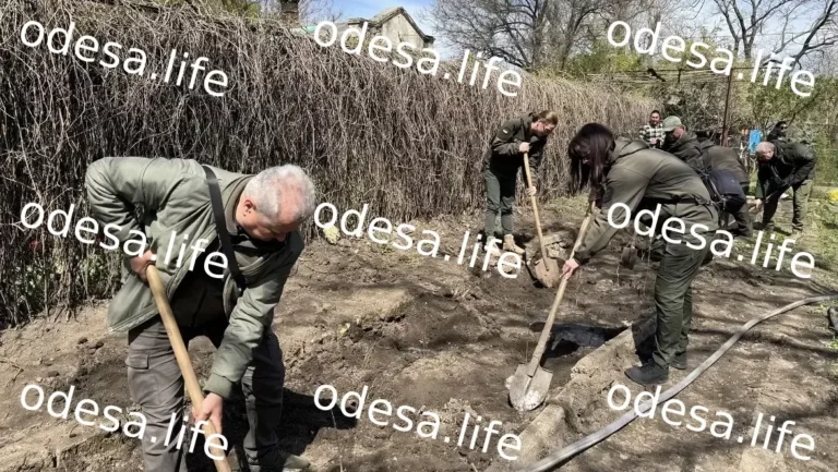 У парку Шевченка в Одесі висадили 27 дубів із символікою