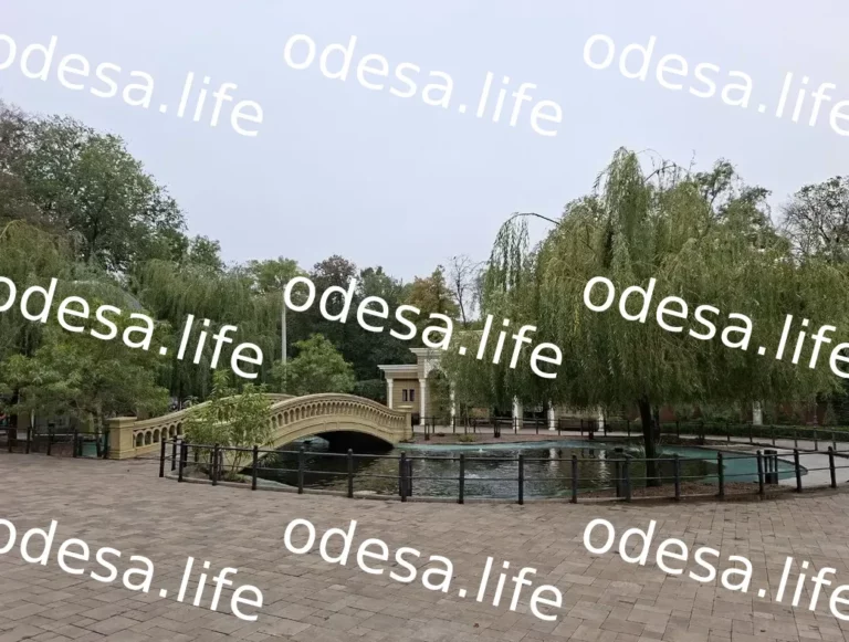 Скандал в Одесі: новий директор зоопарку без конкурсу