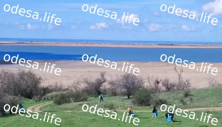 Велике прибирання Карагольської затоки в Одеській області