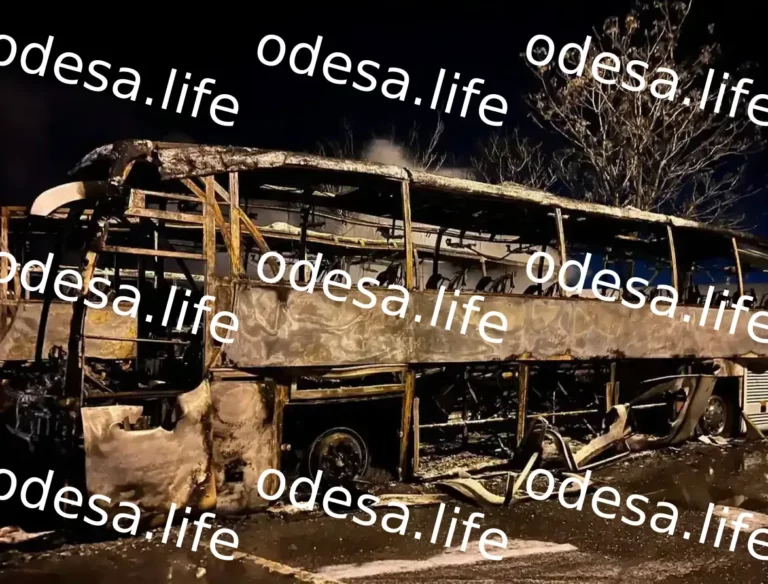 Нічна атака на Одещину: наслідки обстрілів портів