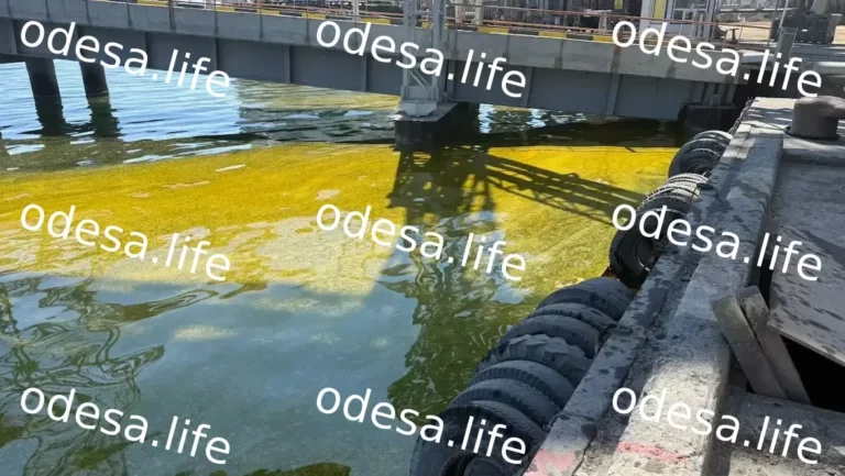 Після удару по Чорноморську море забруднила олія