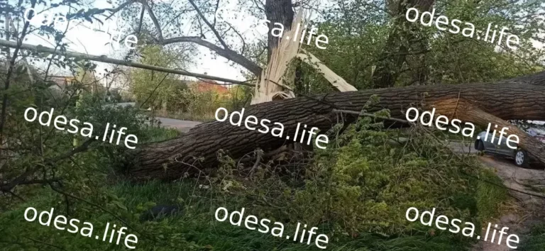 Якою буде погода в Одесі та області 27 квітня