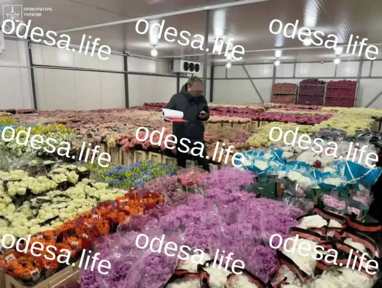 Судова справа проти одеського підприємця за податкові махінації