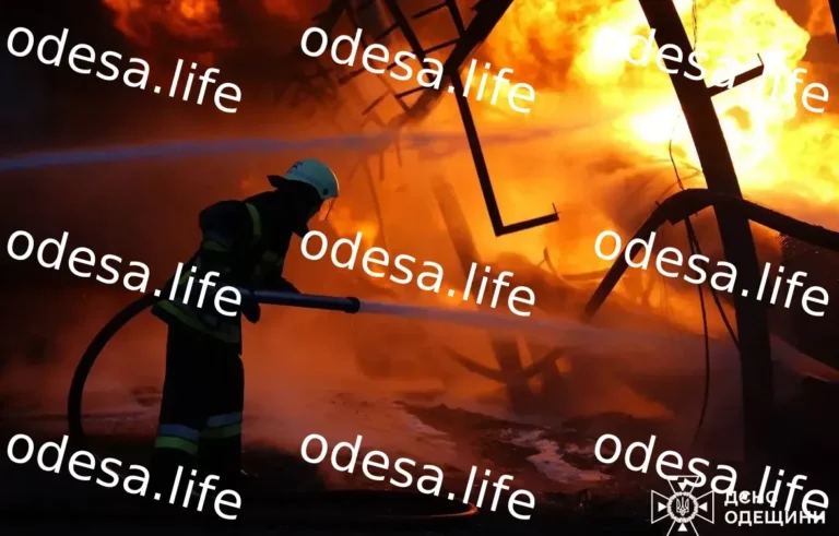 Масштабна пожежа в Одеській області: рятувальники на місці подій