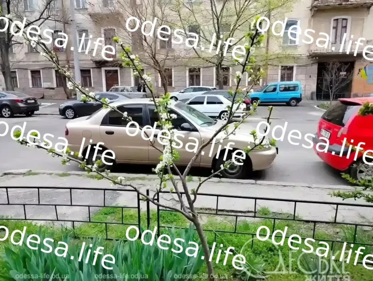 Весняне тепло в Одесі: прогноз на 15 квітня