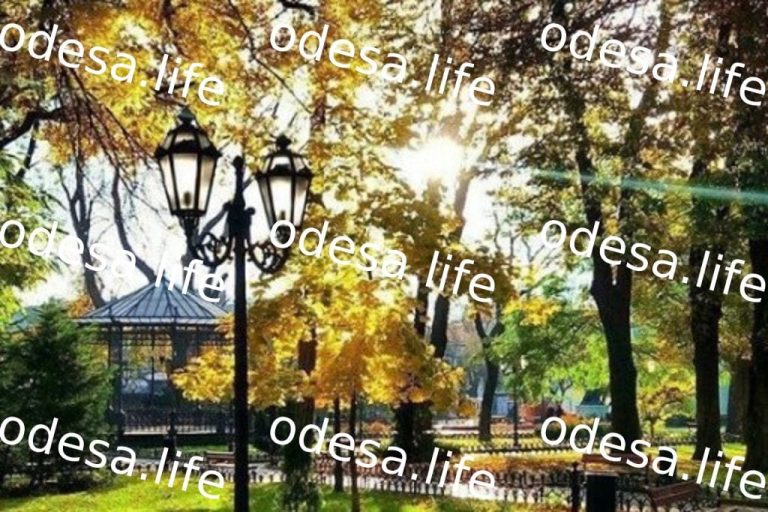 Тепла неділя в Одесі: прогноз погоди на 20 вересня