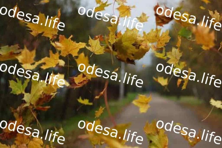 Штормовий вітер в Одесі 28 вересня: оголошено небезпеку