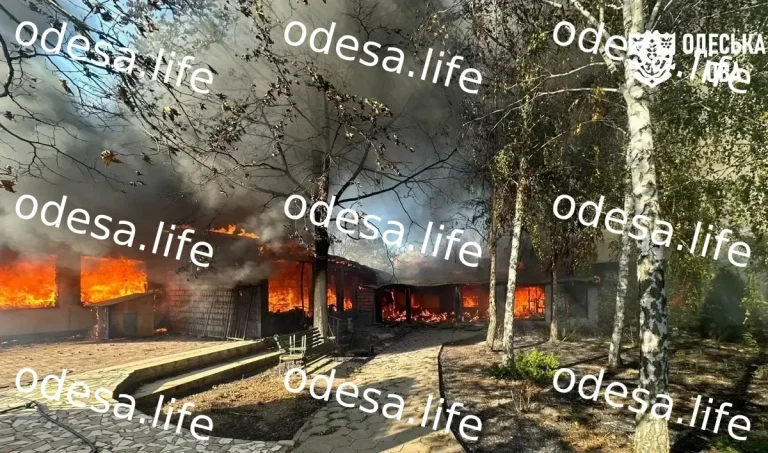 Удар по Одещині: загорілися будинки