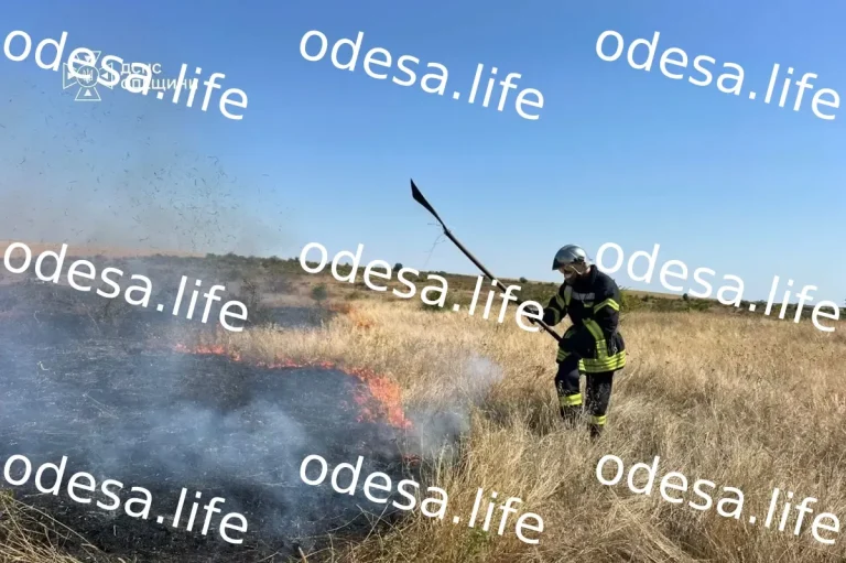 Пожежі в екосистемах Одещини: збитки сягнули мільярдів