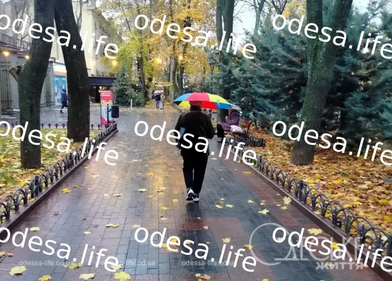 Погода в Одесі 18 жовтня: дощі та туман