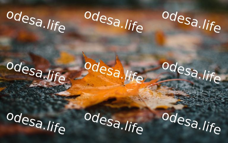 Штормове попередження: в Одесі та області очікують сильні дощі